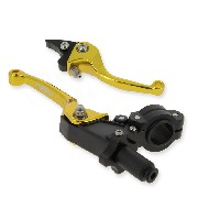 Pair of UD Racing Aluminum Levers for Dirt Bike - Gold typ2