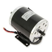motor 24V 500W for electric scooter (MY1020)